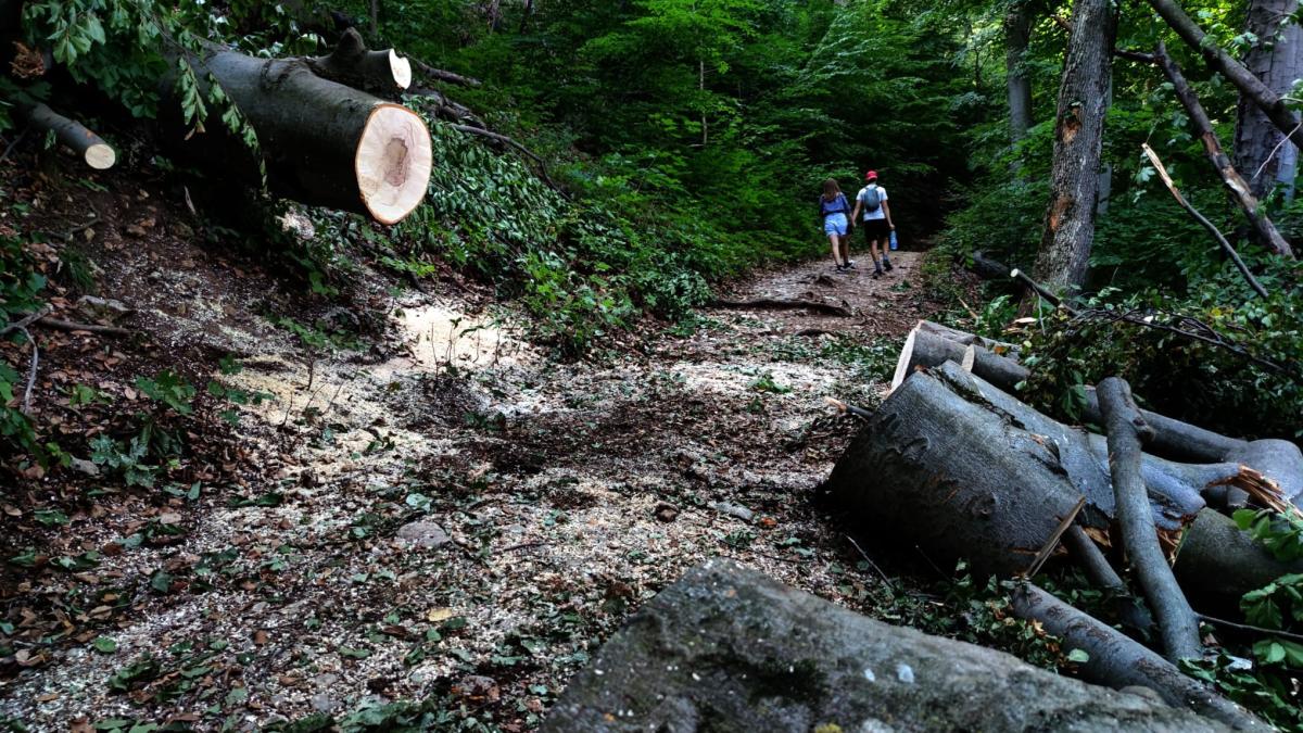 salvamont_romania_sabin_cornoiu_vreme_ploaie_fb_34862900