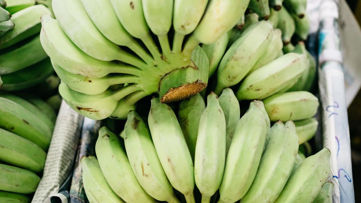 banane-verzi_13980500