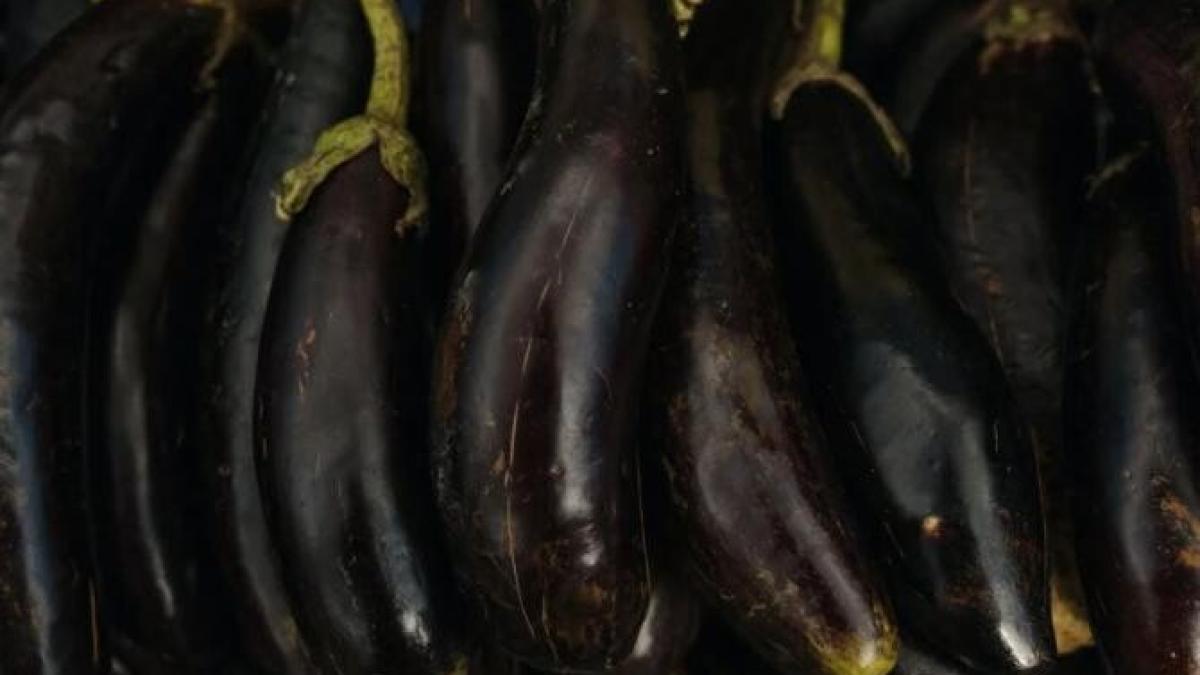 congelati-corect-vinetele-si-ardeii---legumele-nu-si-vor-pierde-gustul-si-aroma_30331400