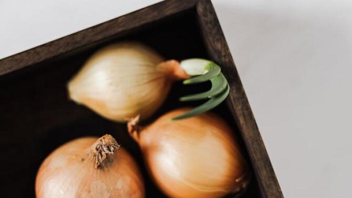 depozitati-corect-ceapa-in-apartament---sfaturi-utile-pentru-gospodine_72625700