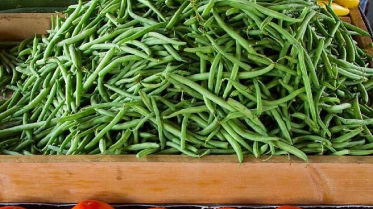 mancare-irezistibila-din-fasole-verde-si-hamsii--reteta-usoara-si-rapida_50126500