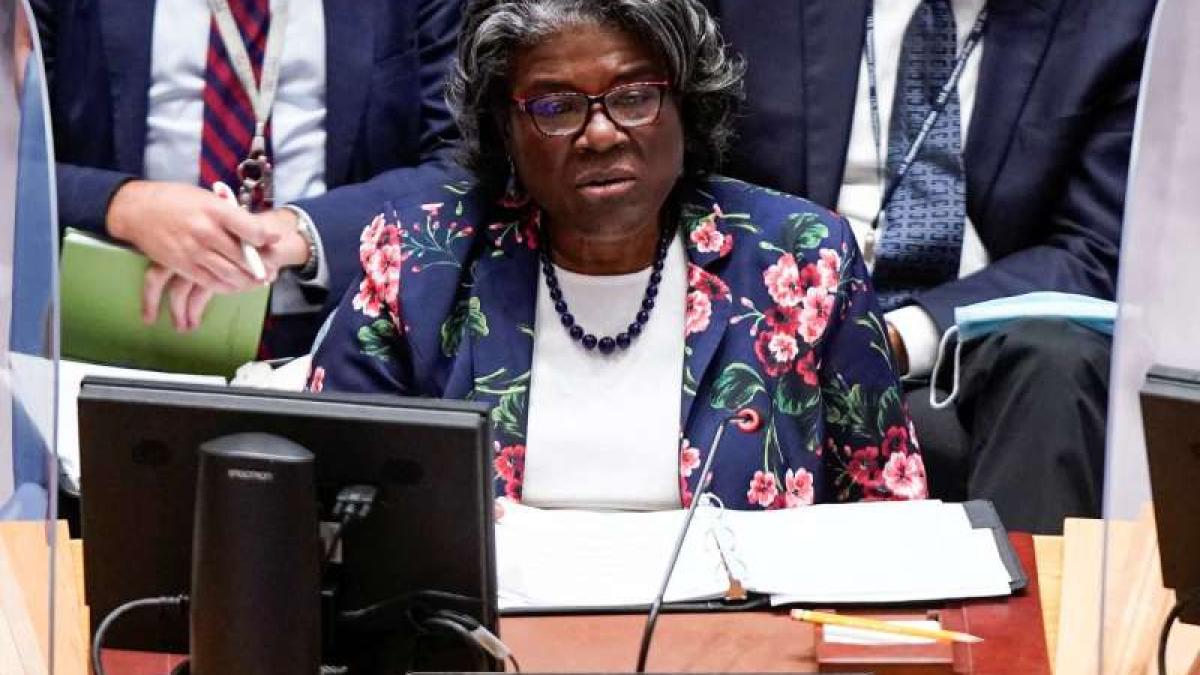 ambasadoarea-sua-la-onu_92908000