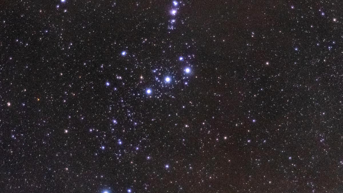 james-webb-tarantula_51339500