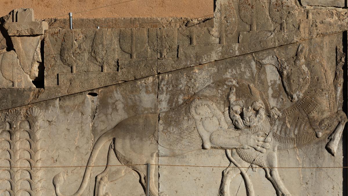 cea-mai-veche-dovada-de-amputatie-chirurgicala_38300400