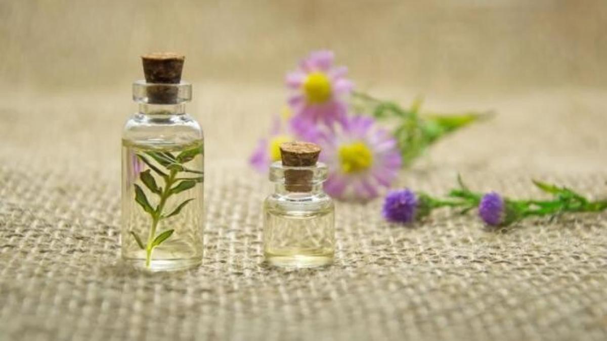 pulverizati-acest-produs-pe-mobila-si-tesaturi-si-casa-va-mirosi-placut--o-idee-geniala-si-rapida_58713600