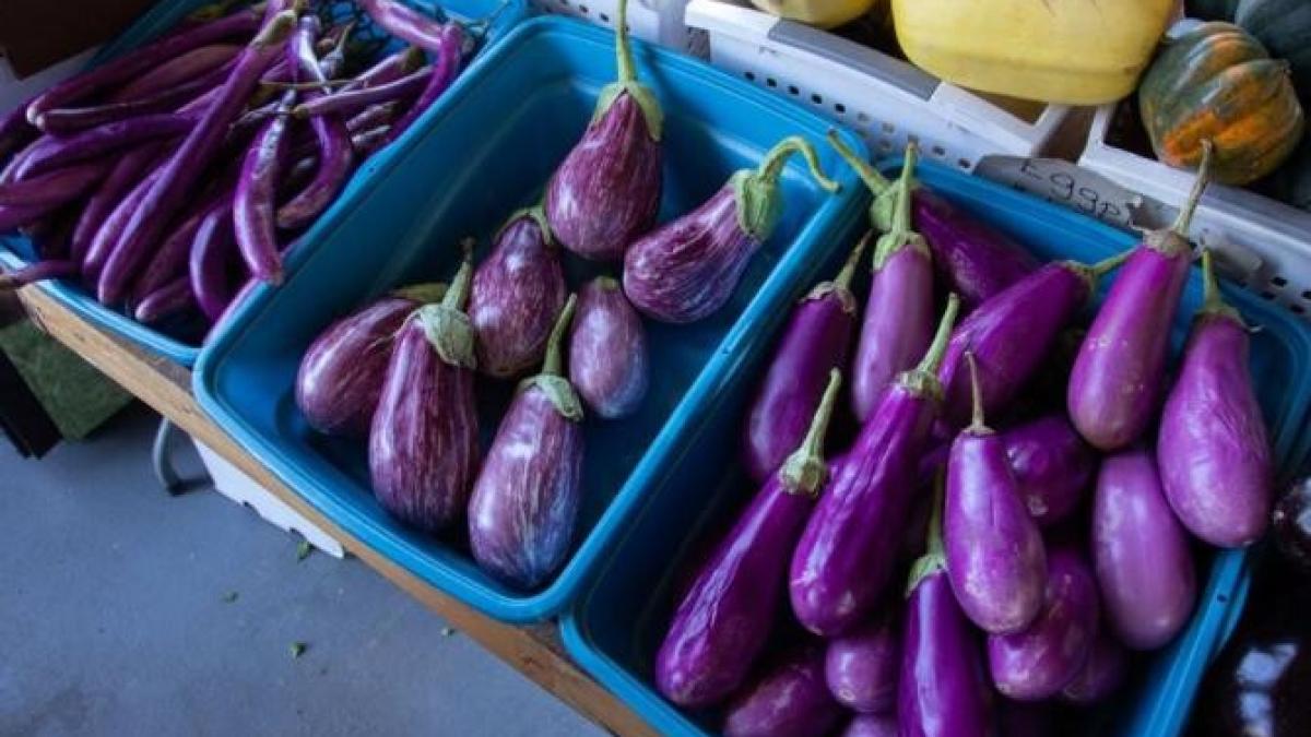 rulouri-de-vinete-cu-o-umplutura-savuroasa--o-portie-are-doar-50-de-cal_33442100