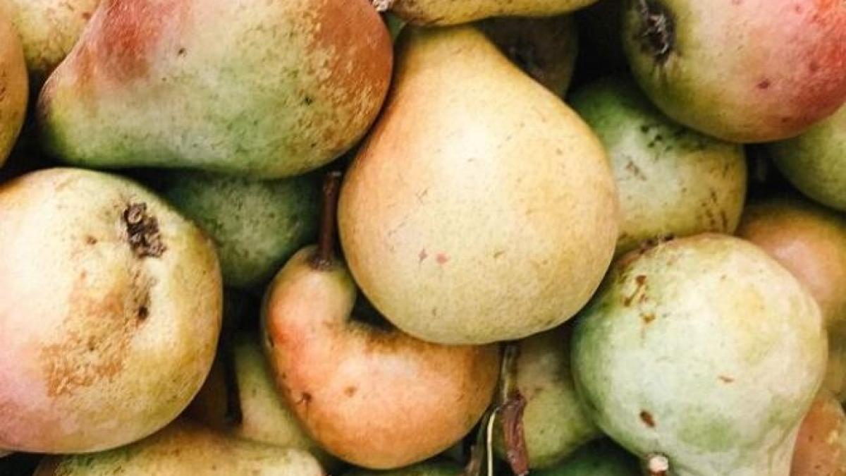 tarta-cu-pere--mere--miere-si-nuci--reteta-pentru-o-zi-de-toamna_82648700