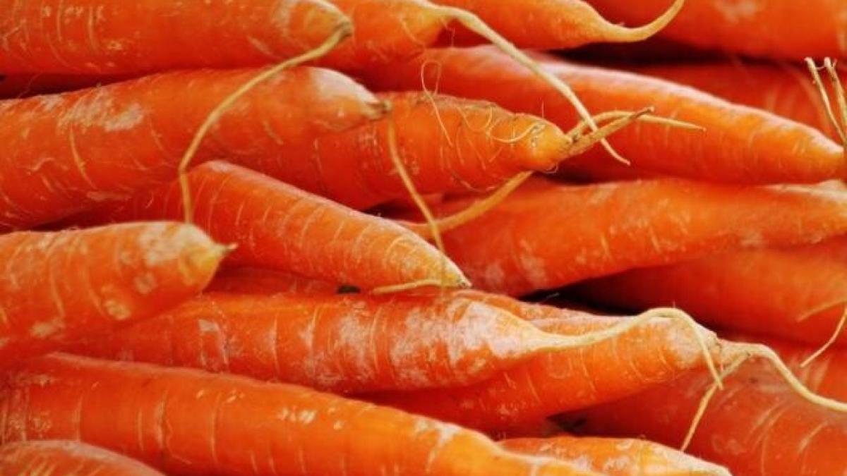 salata-din-morcovi-si-patrunjel-este-crocanta-si-plina-de-vitamine_39320200