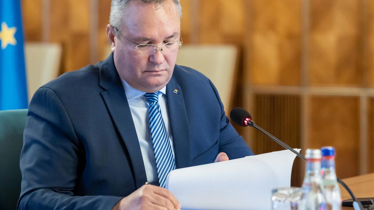 ciuca-iarna-grea_62263400