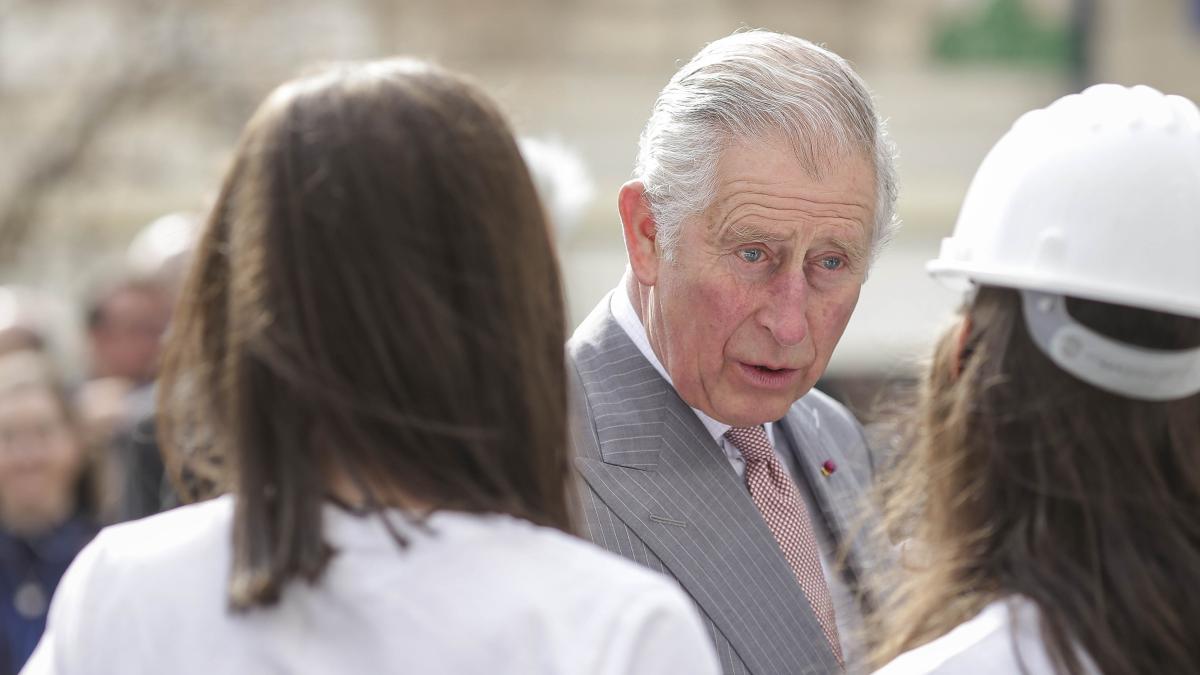 id65125_inquam_photos_octav_ganea_10834600