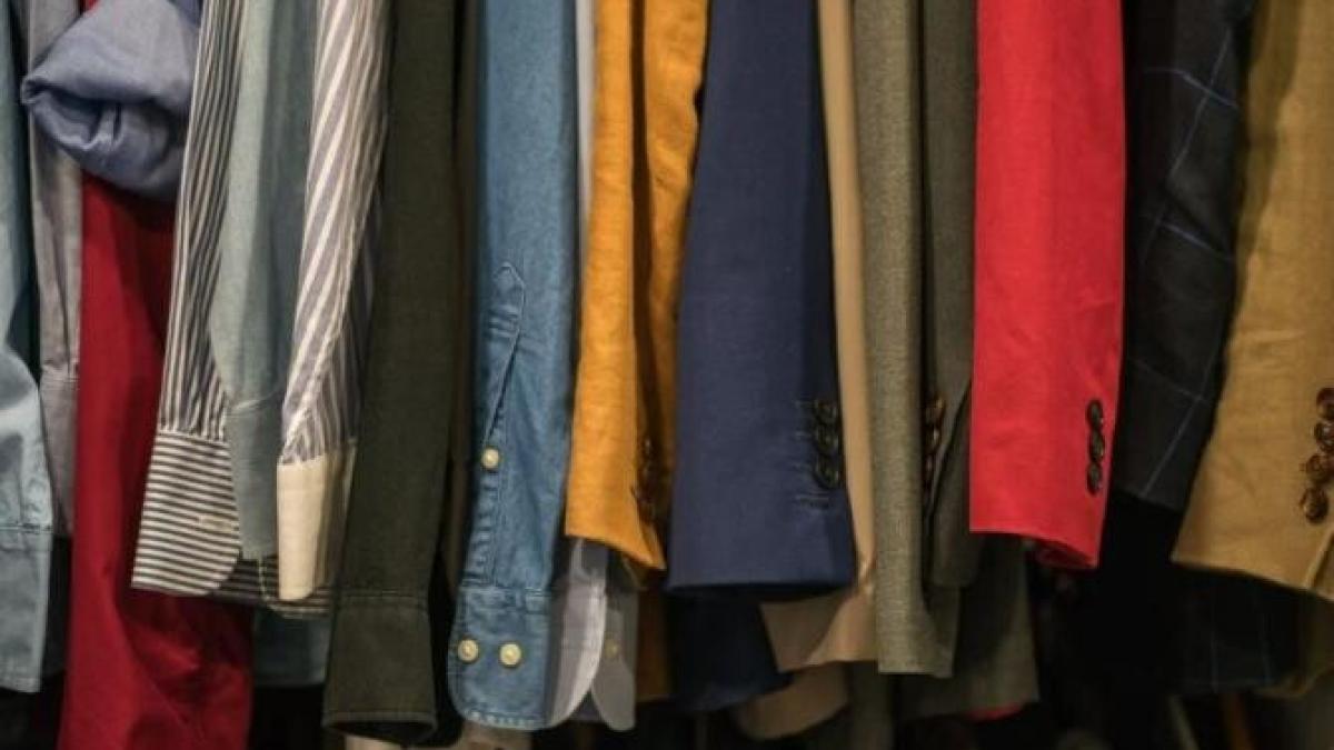 miros-de-mucegai-in-dulap--pune-aceasta-planta-pe-rafturi-si-hainele-tale-vor-fi-mereu-parfumate_25497700