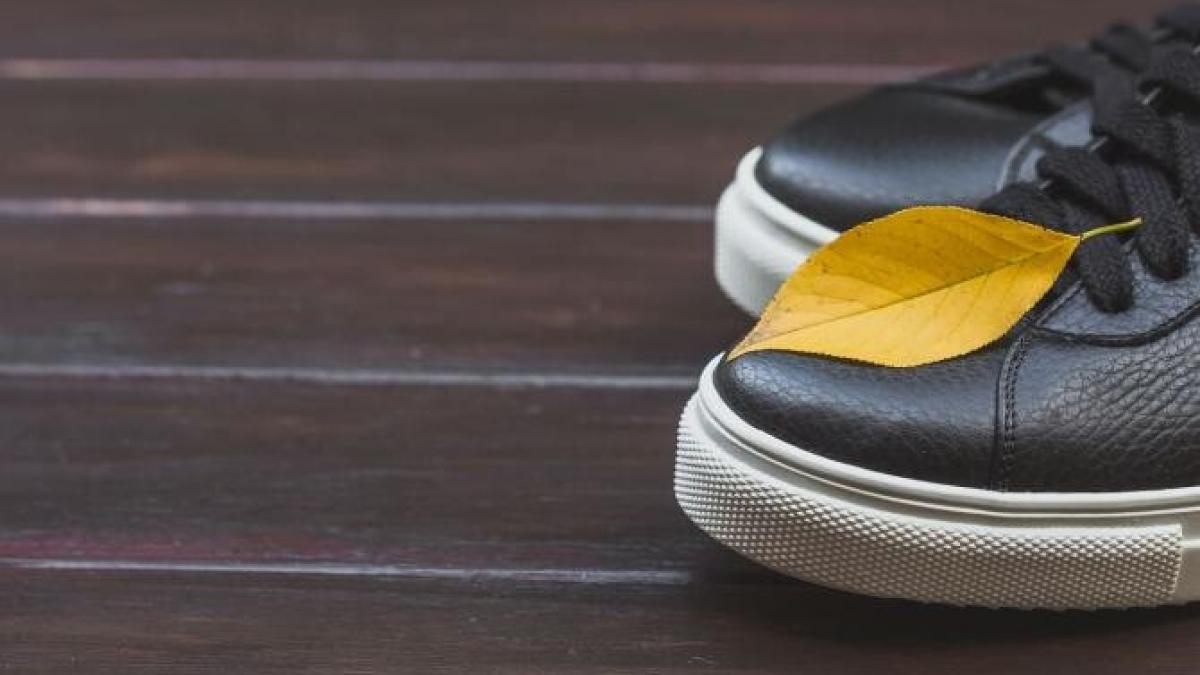 scapa-rapid-de-mirosul-urat-al-pantofilor---trei-moduri-eficiente--verificate-de-gospodine_31843800