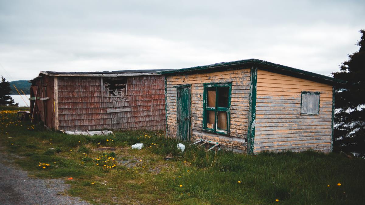 peste-160-de-sate-din-bulgaria-parasite_88757200