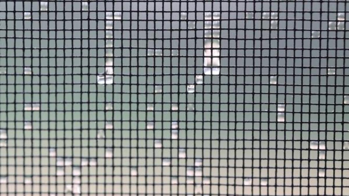 curata-plasele-de-la-geamuri-inaintea-sezonului-rece--nu-trebuie-sa-le-demontezi_79864000