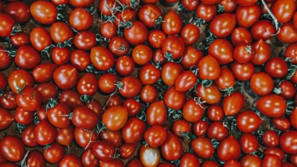 ketchup-de-casa--ce-produse-sa-adaugi-pentru-a-l-face-mai-aromat-si-mai-bogat--reteta-simpla_20439100