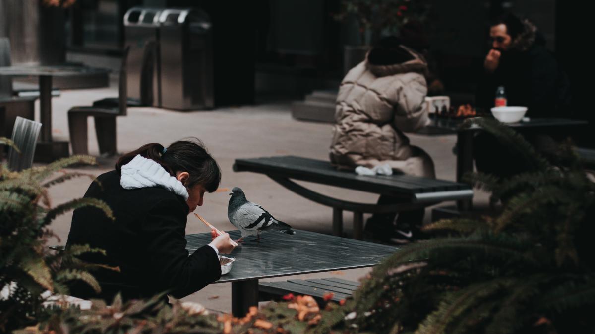 foametea-extrema-s-a-accentuat-in-tarile-expuse-dezastrelor-climatice_36674900