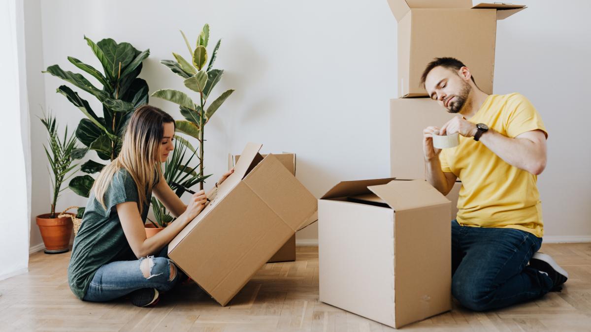 locuinta-proprie-sau-chirie-val-valcu-si-alfred-bulai_34291600