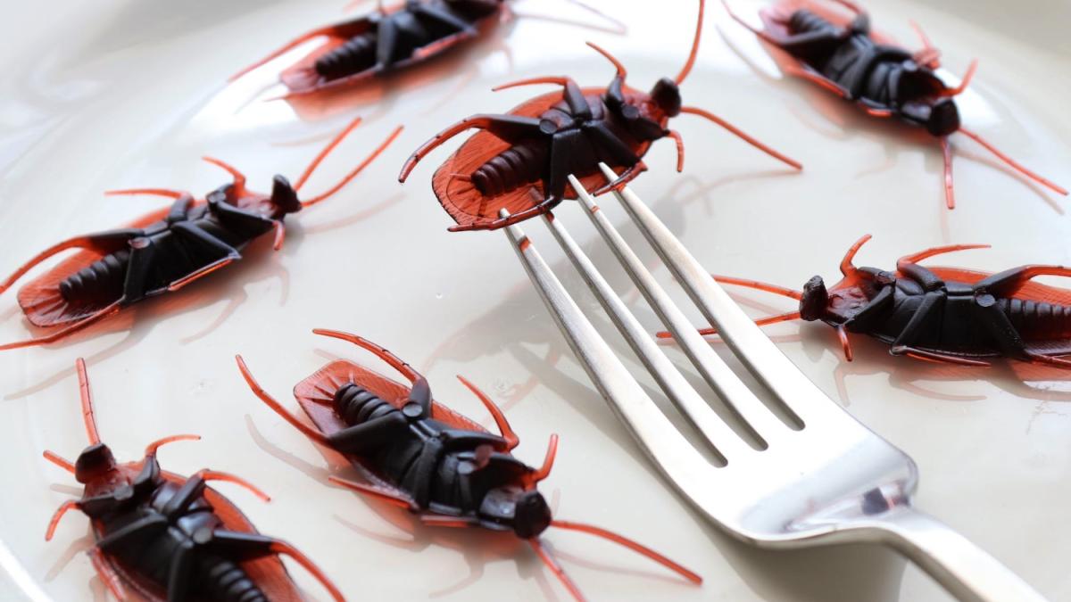 vom-manca-sau-nu-insecte--valcu-toti-colorantii-alimentari-vin-deja-din-oricum-sunt-protejati-de-ong-uri_26107200