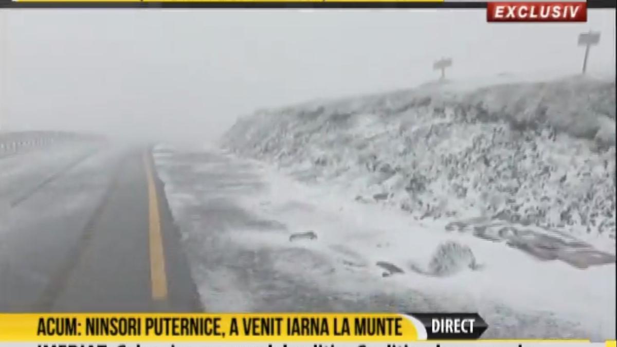 a-ins-in-muntii-apuseni_92975400