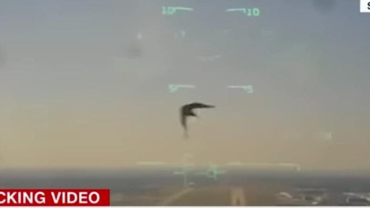 o-pasare-a-doborat-un-avion-al-marinei-americane--totul-a-fost-filmat_45431200