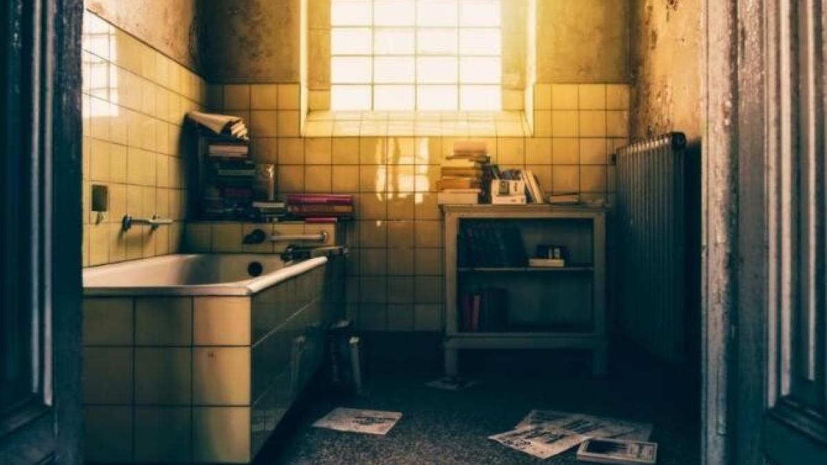 cada-galbena-va-straluci-de-curatenie--ai-nevoie-de-cateva-ingrediente-simple-si-petele-vor-ramane-amintire_10304600