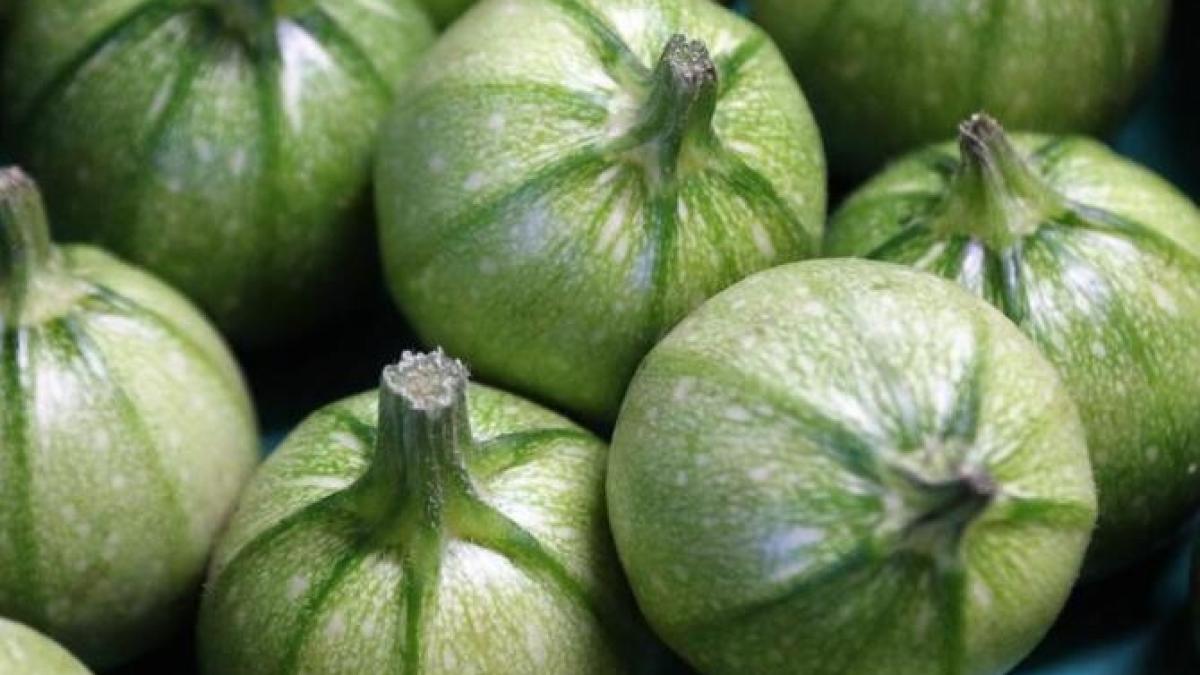 doar-razuiti-dovlecelul-si-adaugati-ouale--o-mancare-usoara-si-satioasa--pentru-micul-dejun_37627600