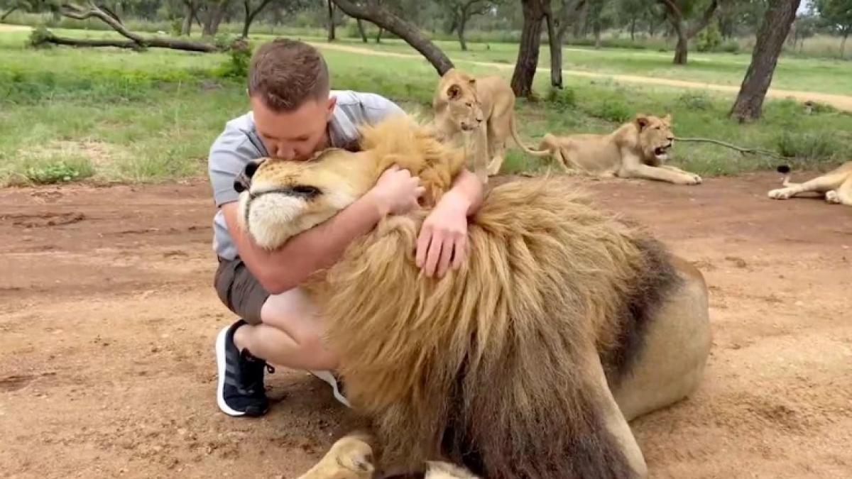 leu-si-ingrijitor_47354700