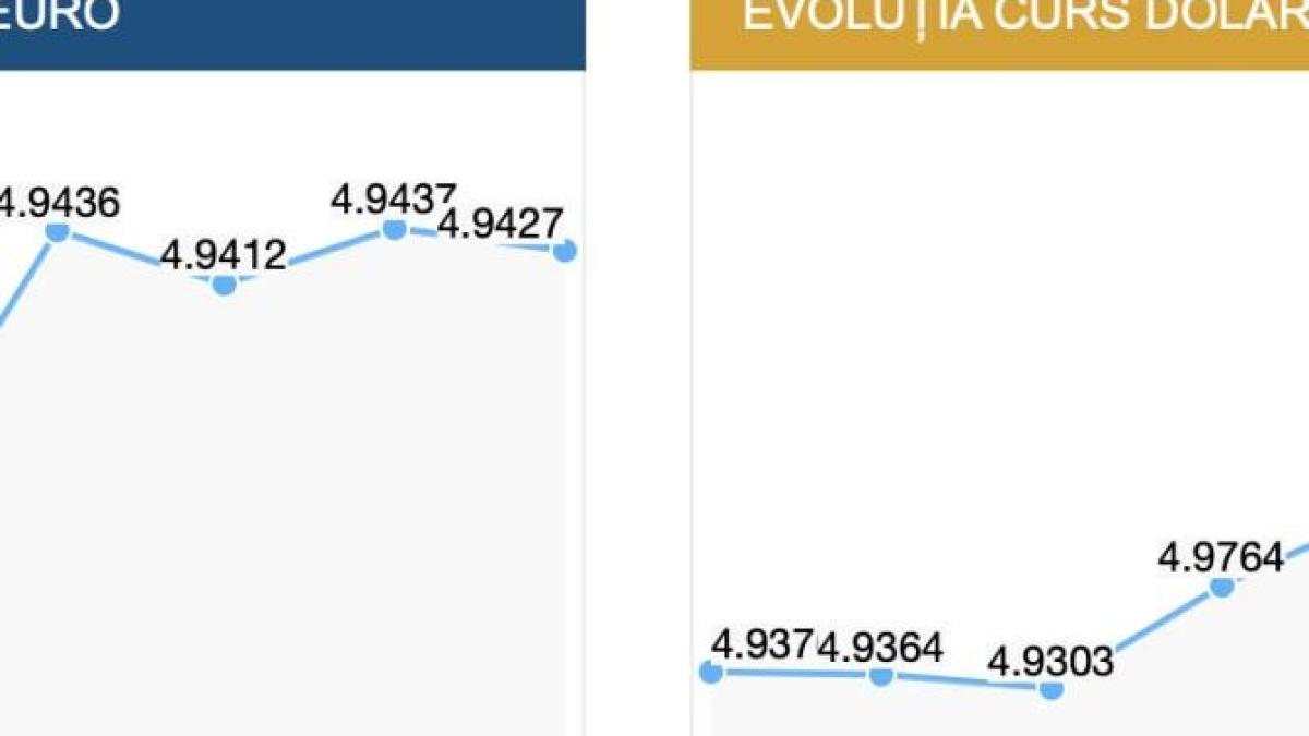 curs-euro-bnr-dolar_40547300
