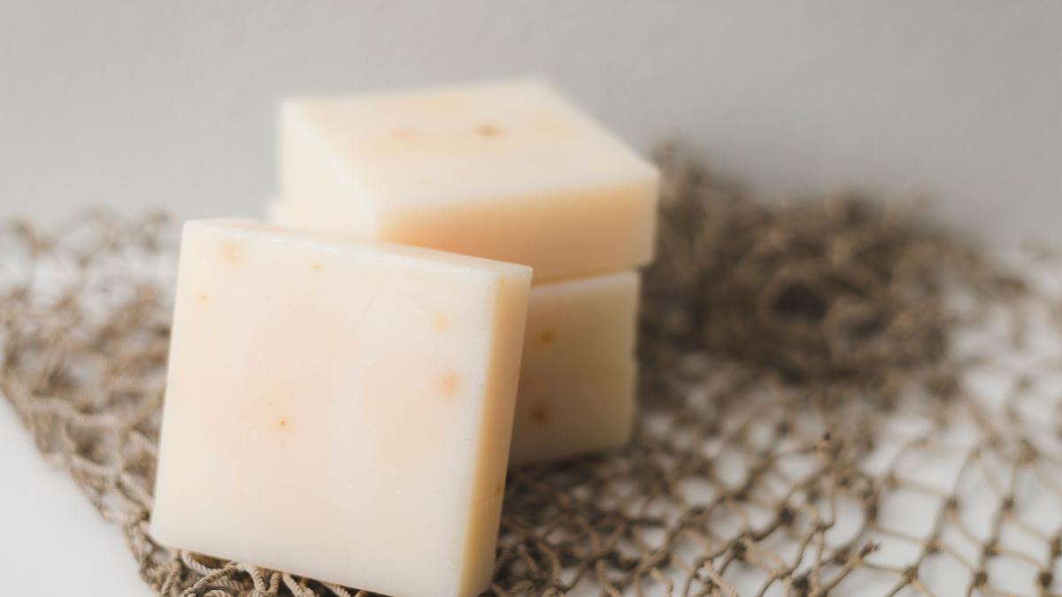 branza-vegetala-pexels-tabitha-mort-773253_14095100