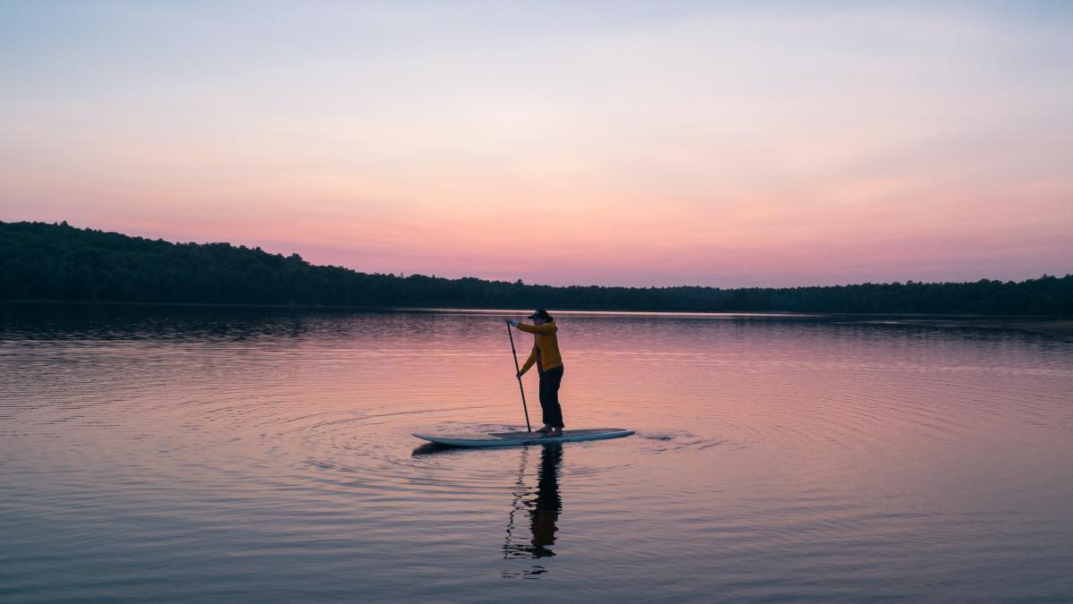 rus_placa_estonia_mobilizare_pxl_21774300