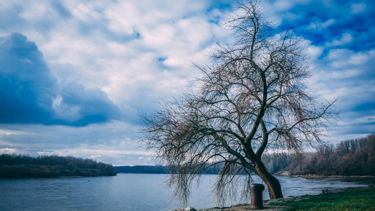 siturile-natura-2000-sunt-un-impediment-in-dragarea-dunarii--lucian-georgescu_15306300