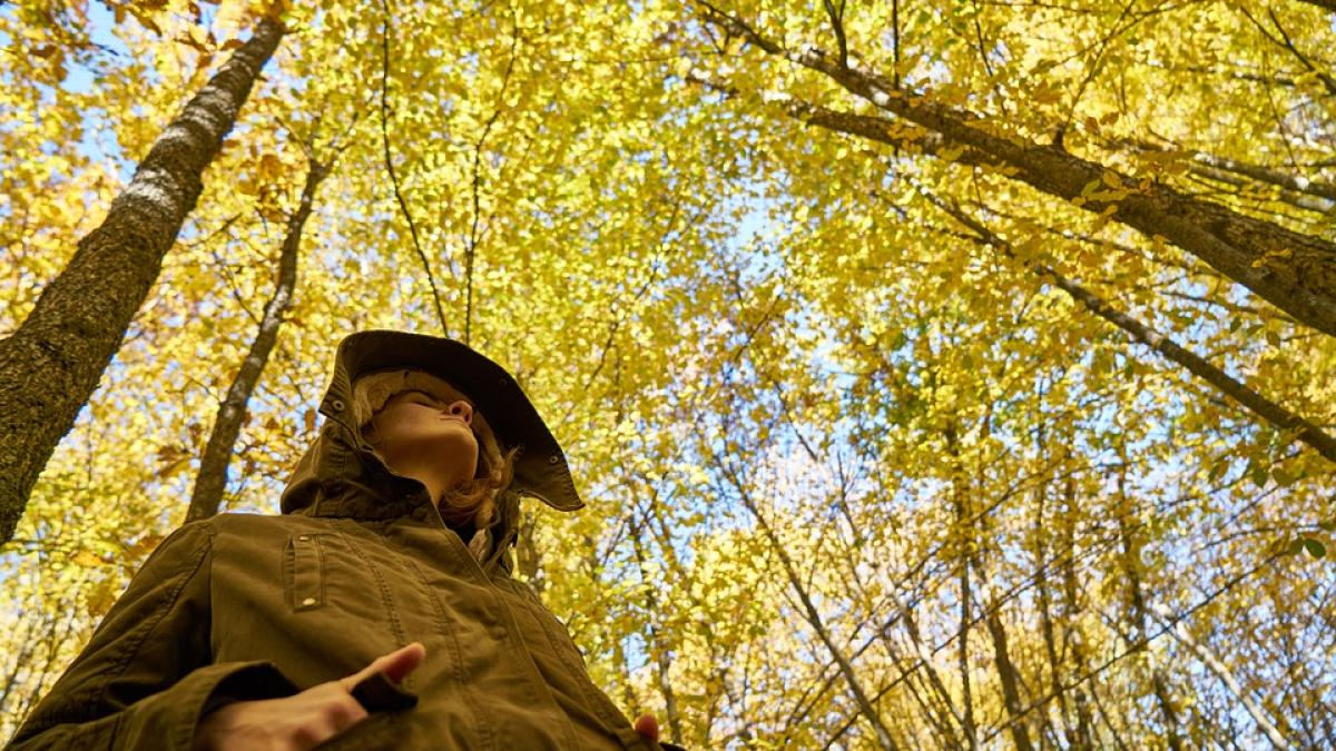 astenie-de-toamna-radu-leca_21924700