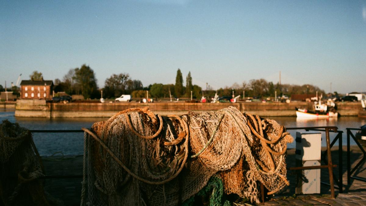 pescuitul-european_69762900