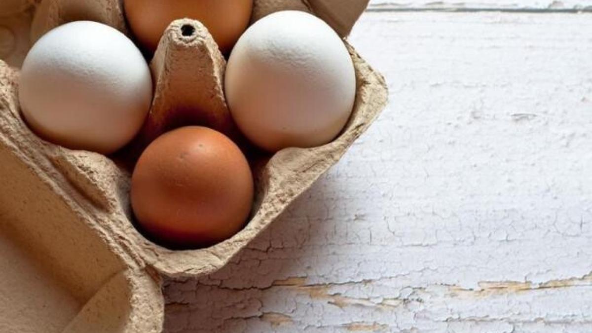 cum-sa-cureti-rapid-si-eficient-ouale-fierte--2-moduri-simple_54477200