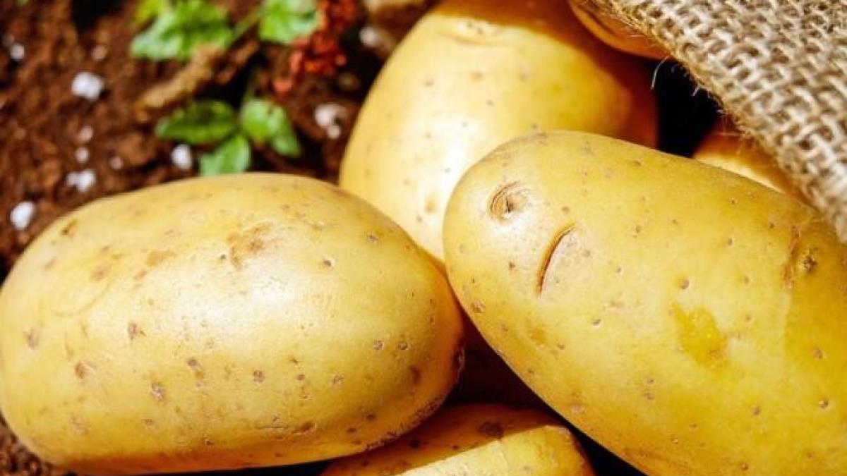 cea-mai-rapida-si-delicioasa-cina--cartofi--pregatiti-la-cuptorul-cu-microunde-in-doar-15-minute_92291000