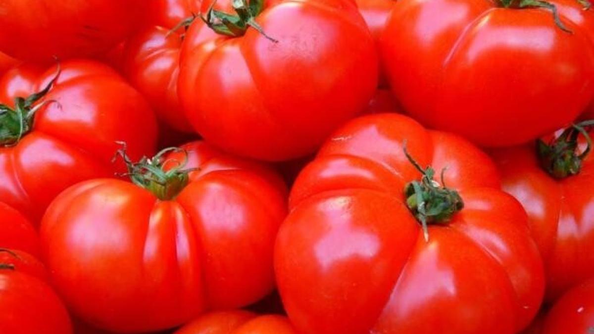 pastrati-rosiile-proaspete-pana-iarna-tarziu--patru-metode-originale-cu-care-nu-veti-da-gres_75591800