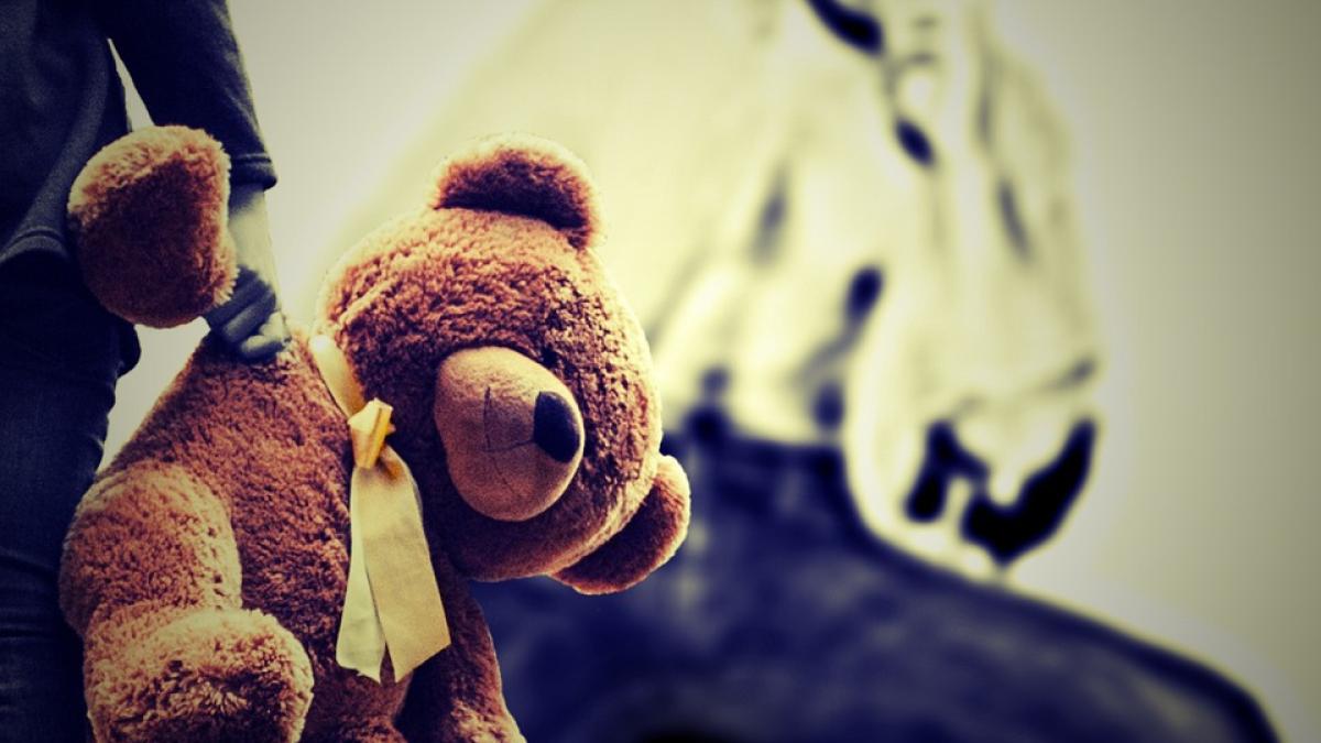 fetita-violata-toaleta-scolii_20429500