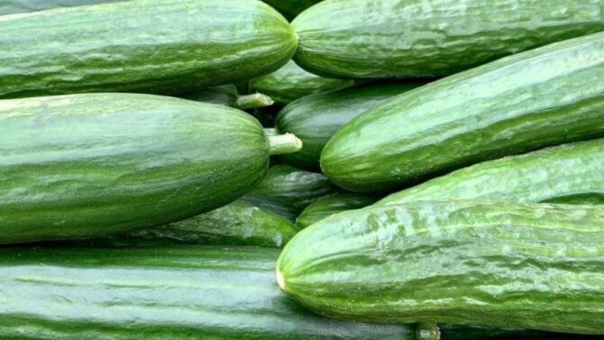 cei-mai-neobisnuiti-castraveti-murati--in-sprite--incearca-ceasta-reteta-si-nu-vei-regreta_36952200