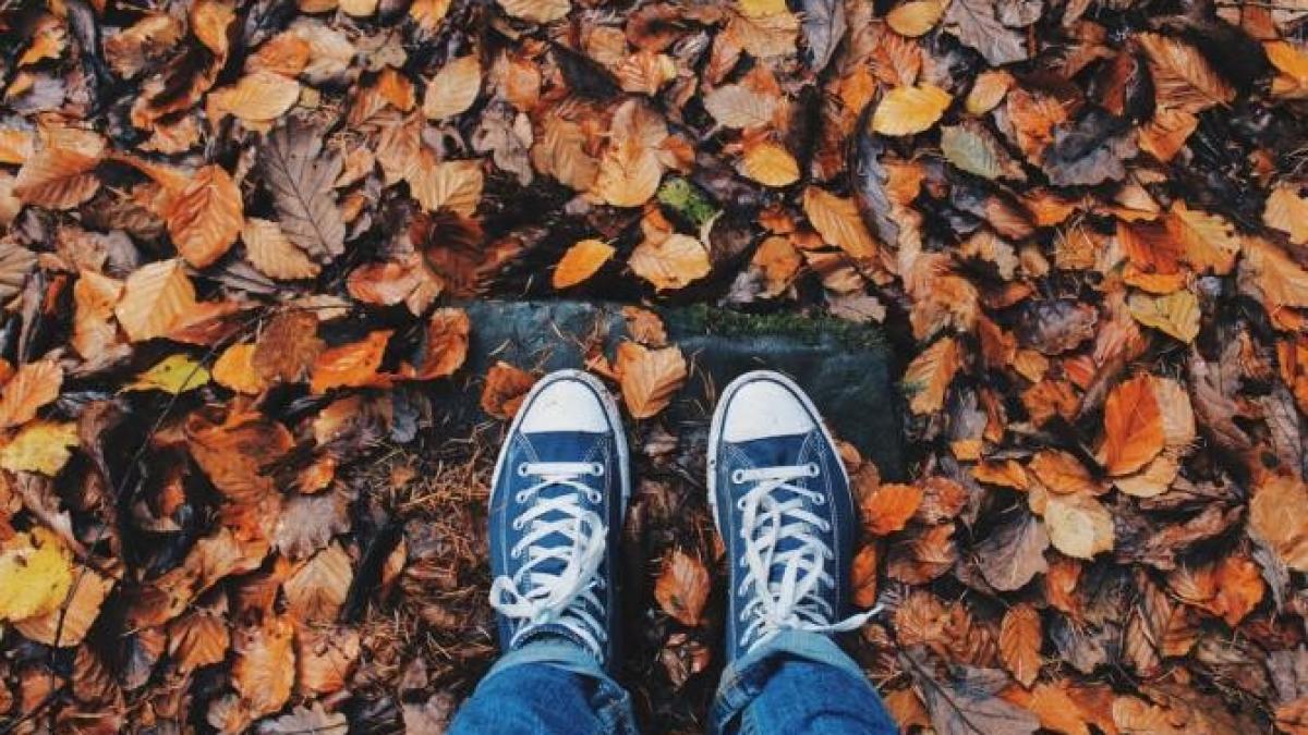 vreme_octombrie_anm_foto_pexels_33287400