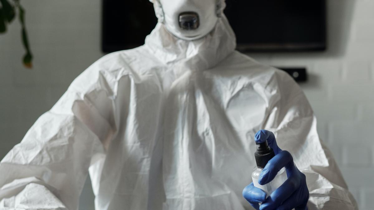 radiatii-pexels-matilda-wormwood-4098001_14577300