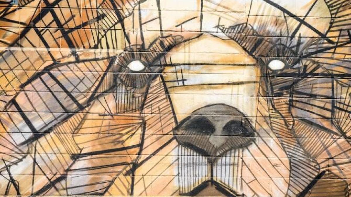 urs_foto_pexels_10838800