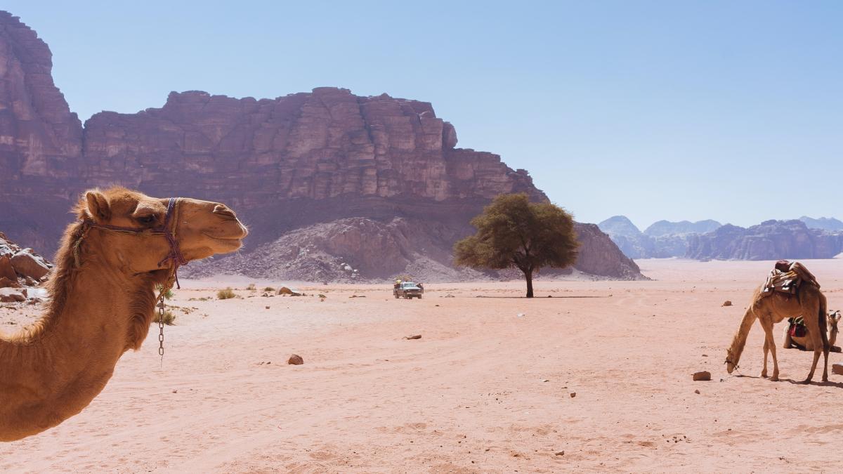 arabia-saudita-jocurile-olimpice-de-iarna_50159900