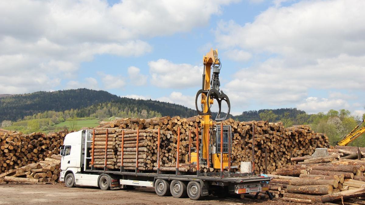 lemne-republica-moldova-ajutor_76214900