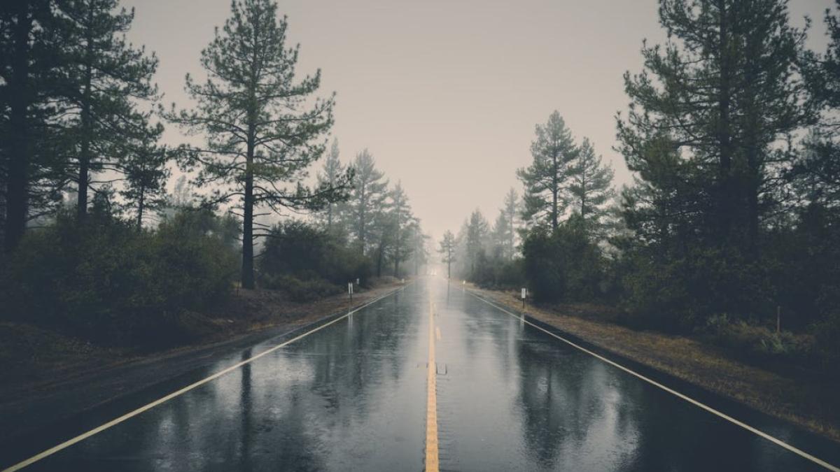 ceata_cod_galben_anm_foto_pexels_89147400