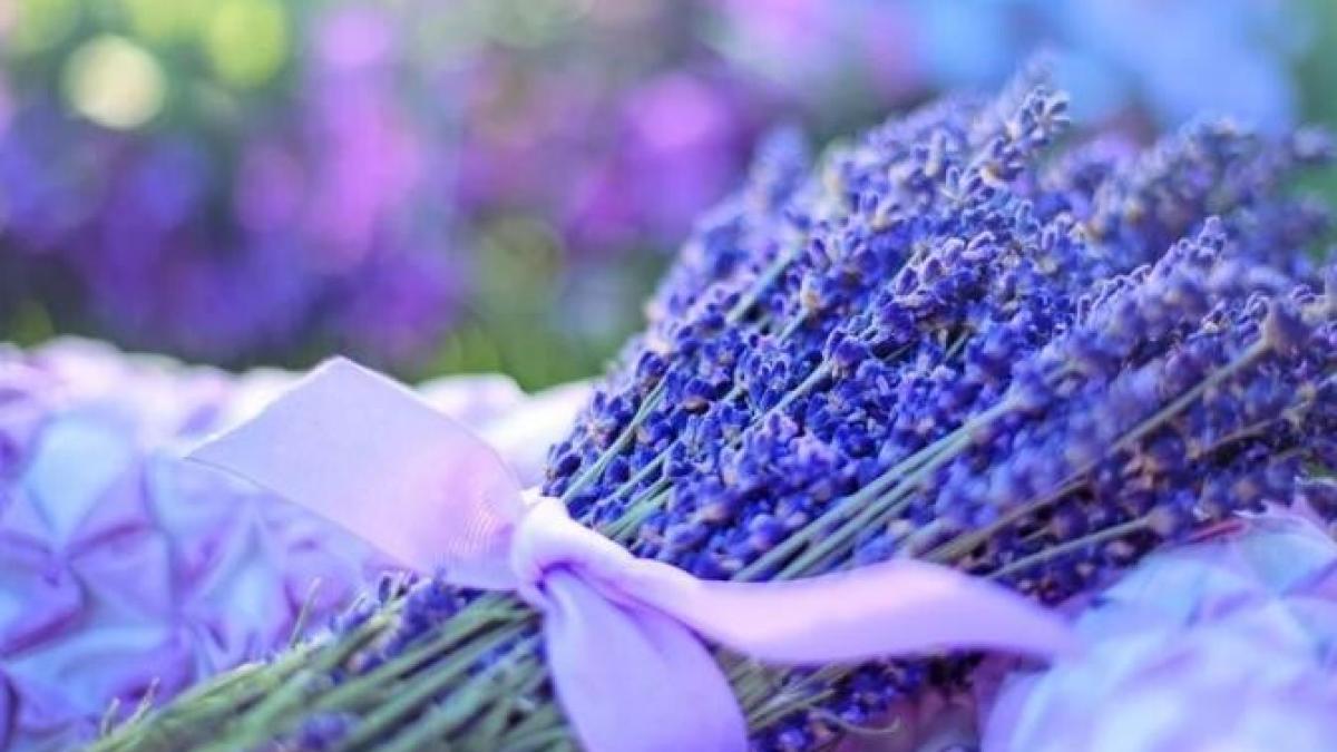 adauga-lavanda-in-ceai--iata-cinci-5-motive-pentru-care-trebuie-sa-o-faci_36645300