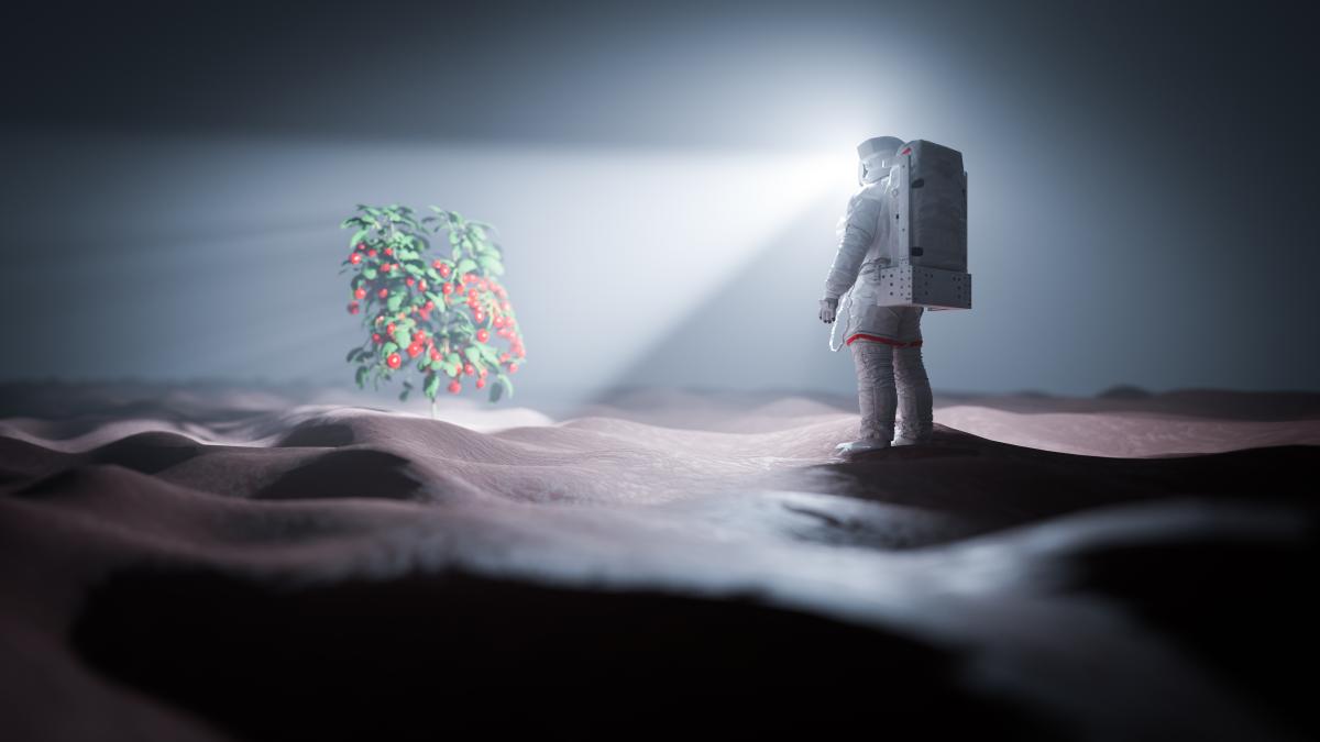 plante-pe-luna_24581200