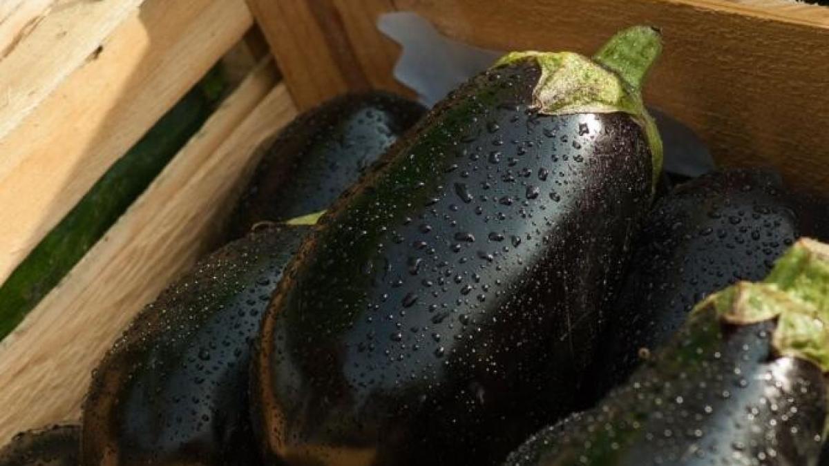 patru-trucuri-secrete-pentru-a-elimina-amaraciunea-din-vinete_52921300