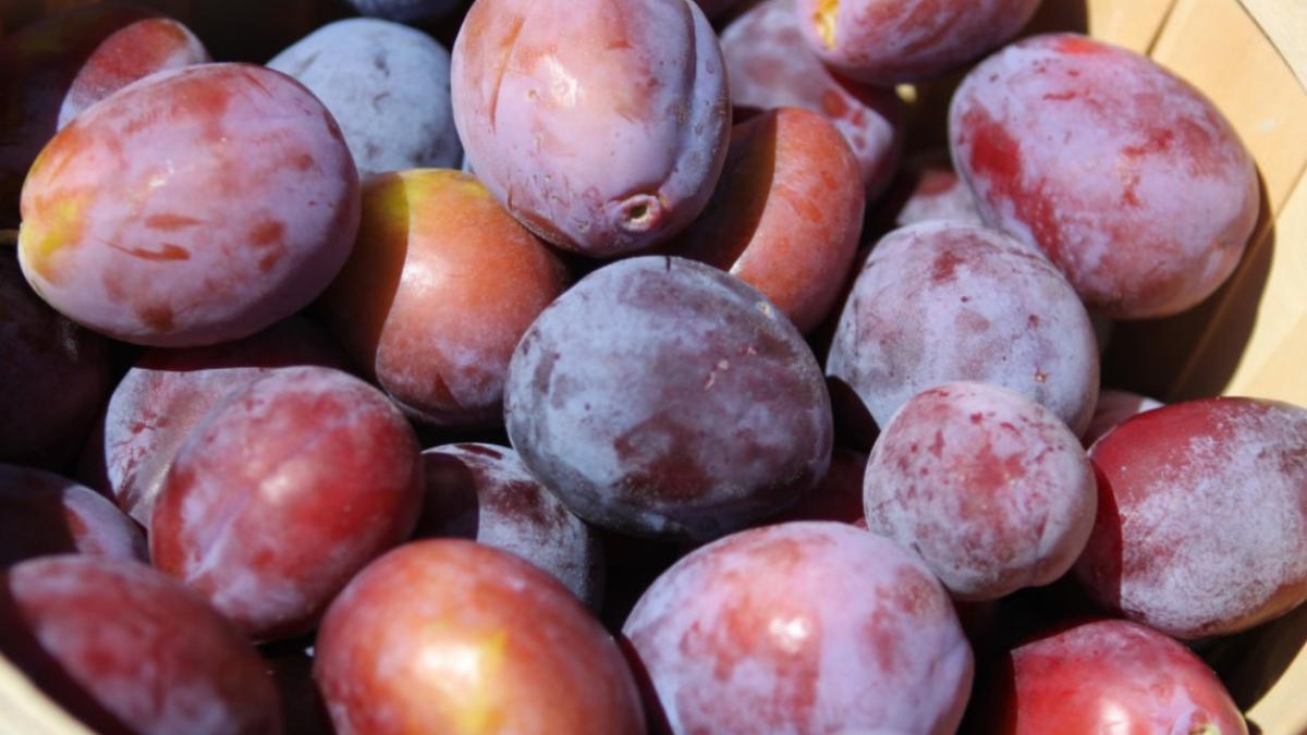 cinci-alimente-pe-care-trebuie-sa-le-consumam-toamna--sfatul-nutritionistului_85582100