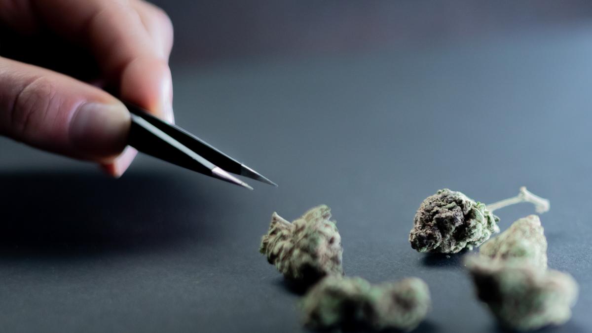 un-suspect-de-pornografie-infantila-a-fost-gasit-cu-droguri-si-substante-psihoactive_00913200