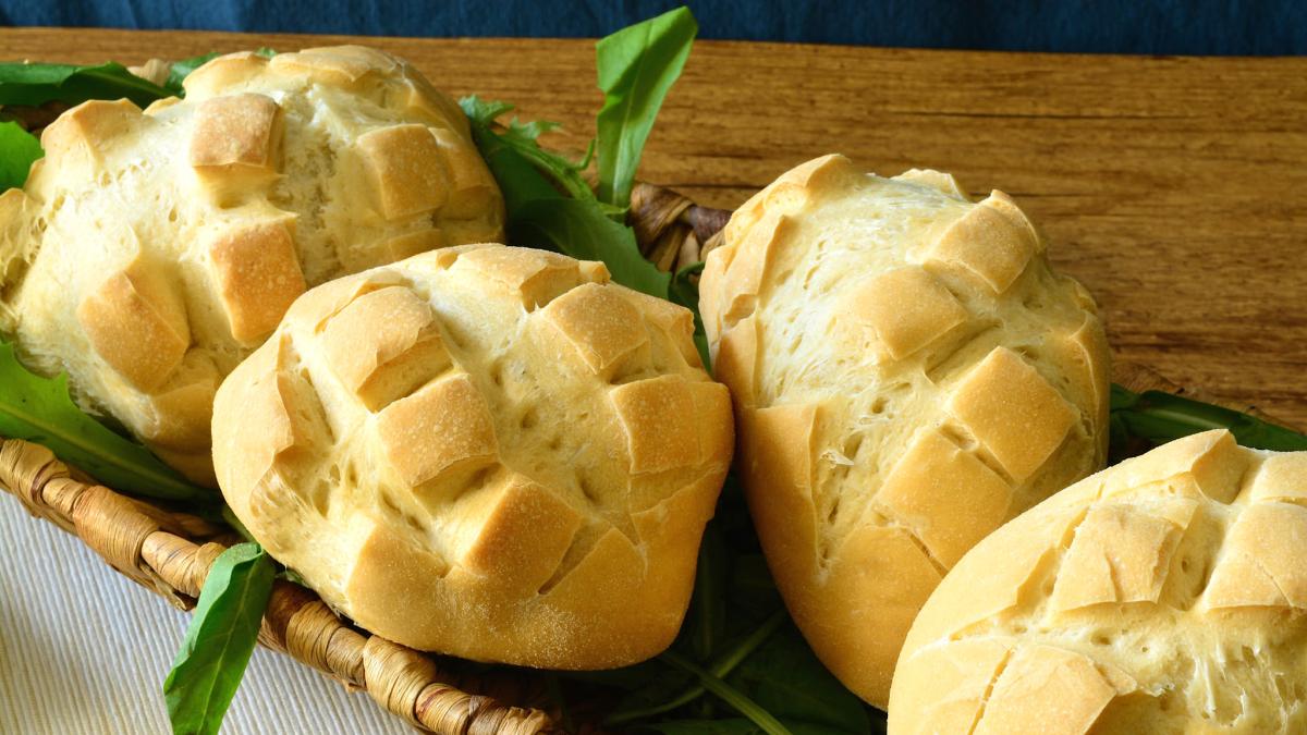 paine-testoasa_05662700